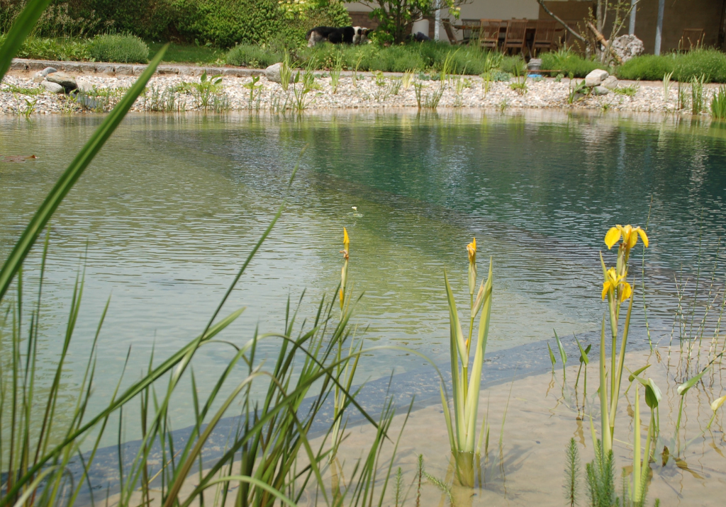 Schwimmteich